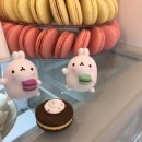 정직한상점
