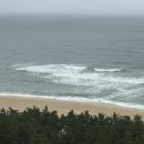 강릉오뎅강릉빙수 | 임신 7주차ㅣ입덧약 챙겨 다녀온 태교여행 강릉 세인트존스 호텔 EFL추천