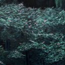 아트그리다 이미지