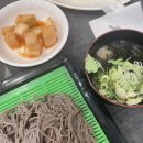 코코소담