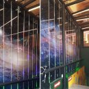 짱게임랜드 이미지