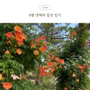 [6-4] 부산 여행(?)하고 아부지 생신 축하드리는 블로그