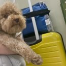 청평화이트펜션 이미지