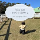 화성목장 | 경기도 화성 아이랑 가볼 만한 곳 드림아트 스페이스 야외 목장 실외 동물원