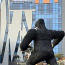 (주)유심천레저산업 이미지