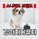 스니피드(SNIFFEED) | 스니피드 강아지디퓨저 민감한 강아지코에도 걱정없는 천연탈취제