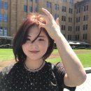 시드니-멜버른 캥캥