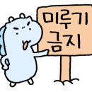 지석인테리어