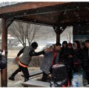 호야 달수 이미지