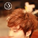 스왈로스튜디오 Daum카페