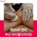 체온UP다이어트 이미지
