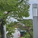 국립중앙박물관 카카오프렌즈 대형 춘식이 라이언 포토존 방문 후기