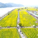 낙동강변14 이미지