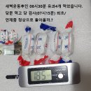 &#39;갓생&#39; 사는 MZ 암 발병률 사상 최고…충격의 건강검진 결과 [MZ 가속 노화] 이미지