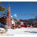 분천산타마을 이미지