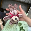 주심한의원 | 직접 받아보고 아빠까지 모시고 간 가산 한의원 편평사마귀 제거 레이저 후기