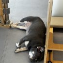 웰니스717 이미지