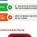 온셀고주파수