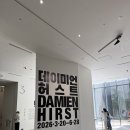 미술관에간꼬마미술교습소 | 서울 전시회 추천 [ 데이미언 허스트 ] 후각 예민러의 내돈내산 후기 / 국립현대미술관 서울