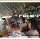 꽃뱅이정원 이미지