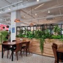 엉뚱푸드 이미지