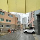 성북생명숲어린이집 | 웨딩 케어 다이어트 관리 성북구 셀포랩 에센셜점