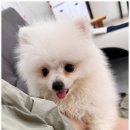 포근푸근 이미지