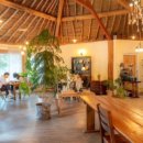 황토버섯 이미지