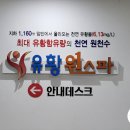 유황원스파 이미지