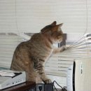 행복한 운동화 이미지