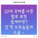 22대 국회를 다른말로 표현하면? 이미지