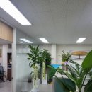 서초랜드로드공인중개사사무소 | # 서초 부동산 저가매매 고민, 세무법인서초 서울중앙지점 방문 후기