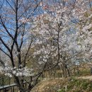 한강근린공원 이미지