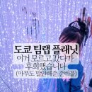 TH 미디어 | 도쿄 아이랑 갈만한 곳 추천- 기네스 기록에 오른 팀랩 플래닛 도쿄 솔직 후기