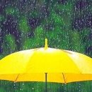 당구25클럽 이미지