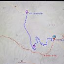 우구치리 낙엽송 숲 Daum카페