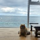 고즈넉한주문 이미지