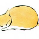 로잔동물의료센터 이미지