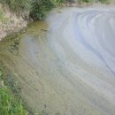 대주 농장 이미지