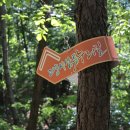 서삼릉길 이미지