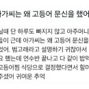 고등어아가씨
