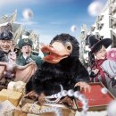 월드미트 이미지