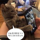 신기한 손 테라피 | 마포피부관리 - 미플 망원점에서 골근위 실루엣테라피 얼굴경락 받고 극락 다녀온 후기!