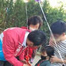 람보기사식당 이미지