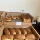 꼬솜(kkosom) 이미지