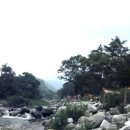 강원오토 이미지