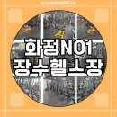 장수휘트니스클럽 이미지