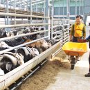 힘찬염소농장 이미지