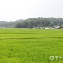 상망삼거리 이미지