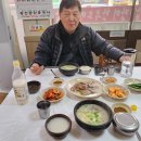 2025년도 산소에 제초제를 뿌리고 정지작업을 하고 왔습니다. 이미지